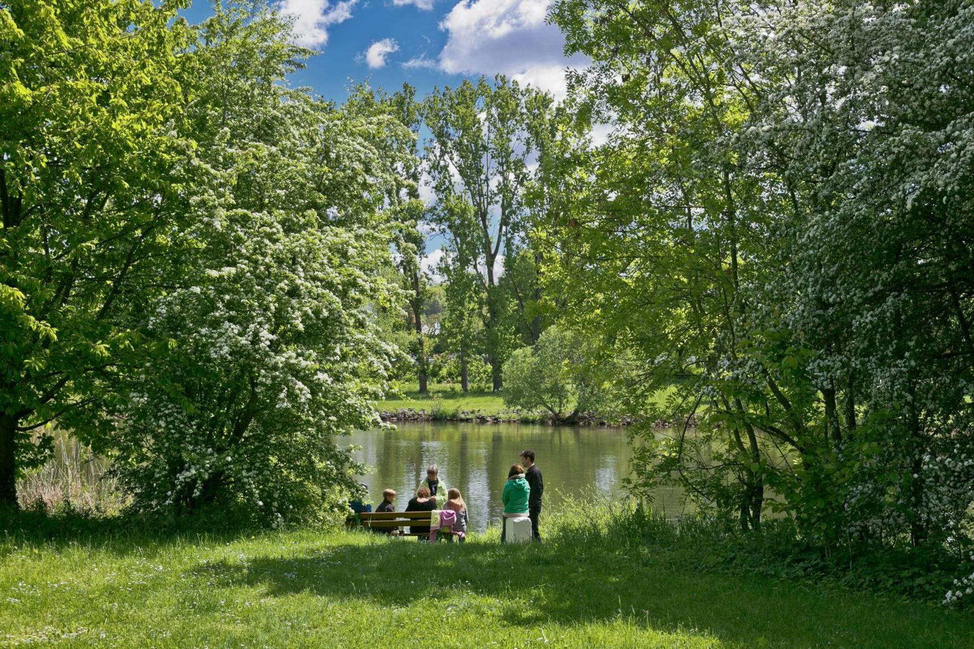Knaus Campingpark Frickenhausen Frickenhausen am Main Kültér fotó